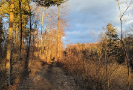 Rest Plaus O&W Rail Trail景点图片