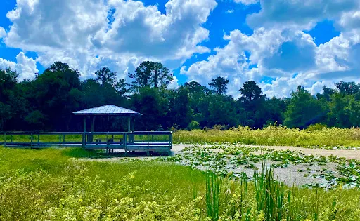 Lake Okahumpka Park