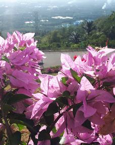 Raewaya Hills-埃尔马迪迪