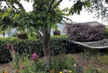 Red Barn Arena景点图片