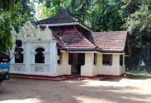 Pallegane Pothgul Viharaya景点图片