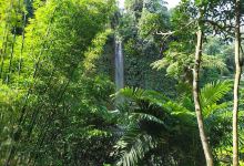 Air Terjun Sampuran Widuri景点图片