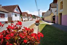 camping De Oude Wilg景点图片