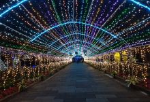 员山公园景点图片