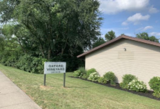 Oxford Vineyard Church景点图片