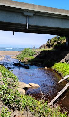 Fogarty Creek Beach-林肯县