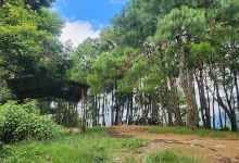 Dahachowk park景点图片