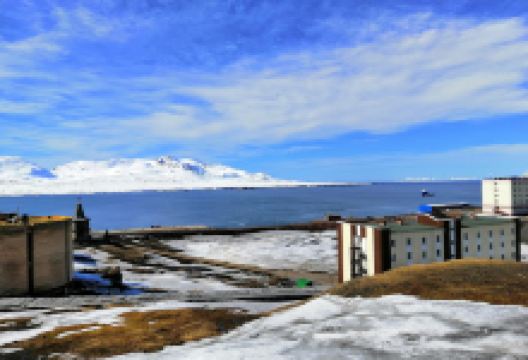ART ARCTIC GALLERY景点图片