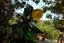 Masjid, Langgar Kalijaga景点图片