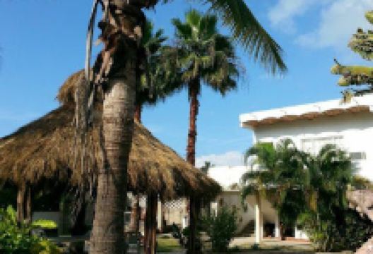 Savage RV Park, Lo de Marcos, Nayarit, Mexico景点图片