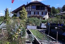 Gärtnerei Bühler GmbH购物图片