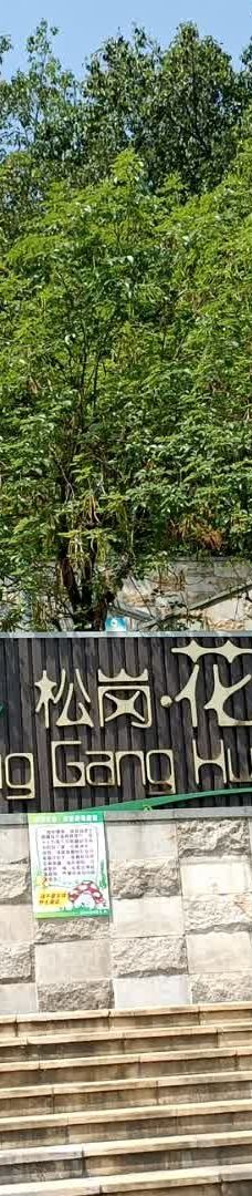 松岗花果山公园-深圳
