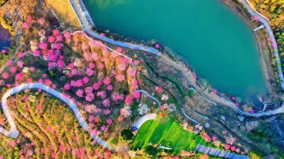 燕兒谷-梅嶺