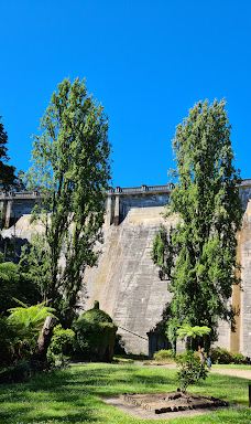 Maroondah Reservoir Park-希尔斯维尔