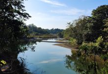 PATTHAR BANDH ( Sight Seeing Spot || Bardiya National Park)景点图片