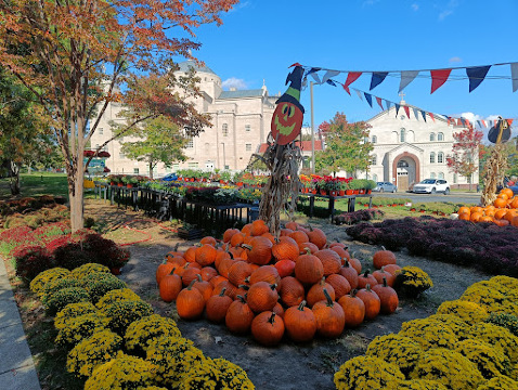 Restaurant Zur Schonenburg