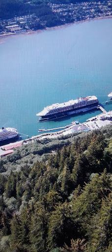 奇尔卡特河-海恩斯自治市镇