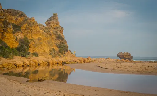 Shelley Beach