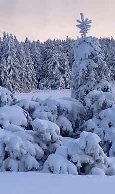 Stausee Oberwald-卡伦贝格