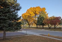Barstow Park景点图片