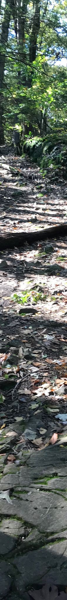 Mount Tom State Reservation-霍利奥克