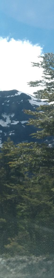 Ventisquero Negro-巴里洛切县