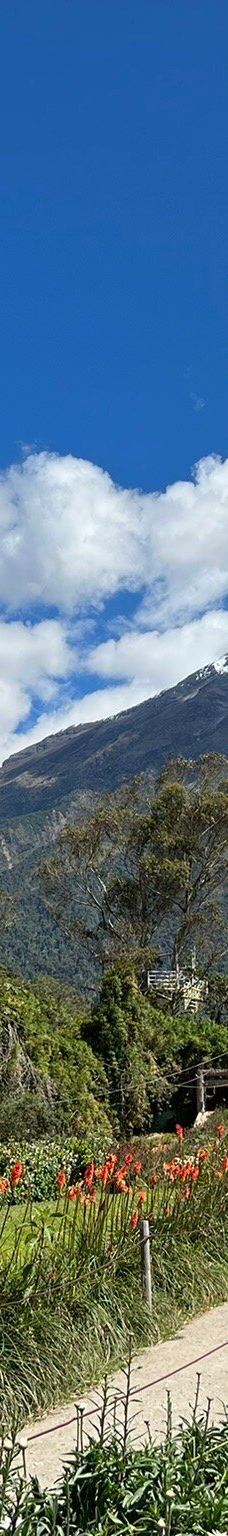La Casa del Arbol-巴尼奥斯县
