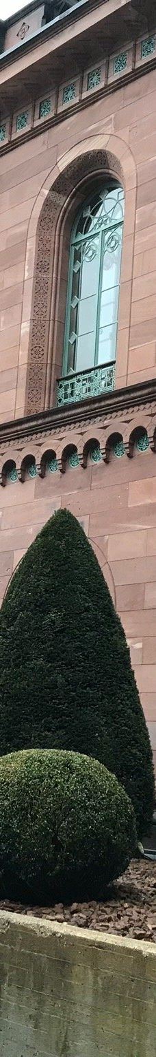 巴特维尔德巴特