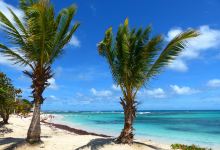 Plage des Raisins Clairs景点图片