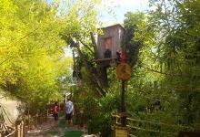 Perils of the Lost Jungle Minature Golf景点图片