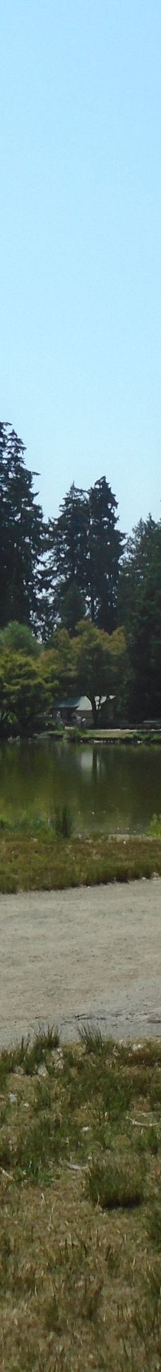 中央公园-本那比