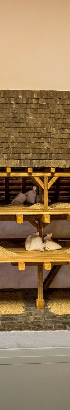 方济会修道院-克鲁姆洛夫