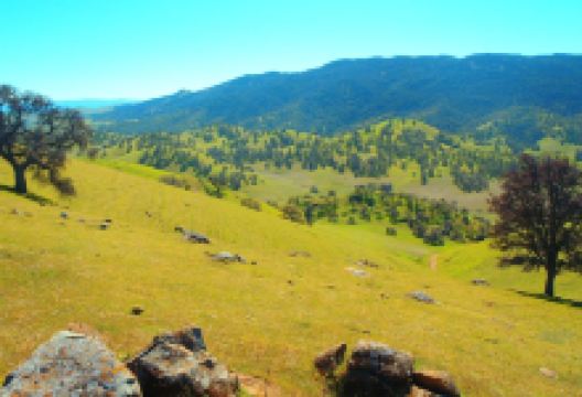 Round Valley Regional Preserve景点图片