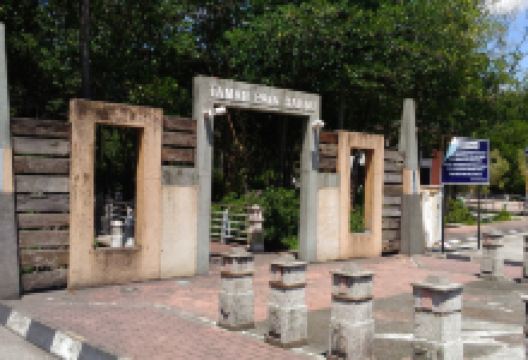 Mangrove Swamp Park景点图片