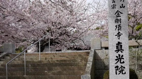 金剛頂寺 真光院