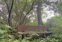 Frank Skinner Arboretum Trail景点图片