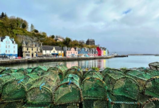 Mull Pottery购物图片