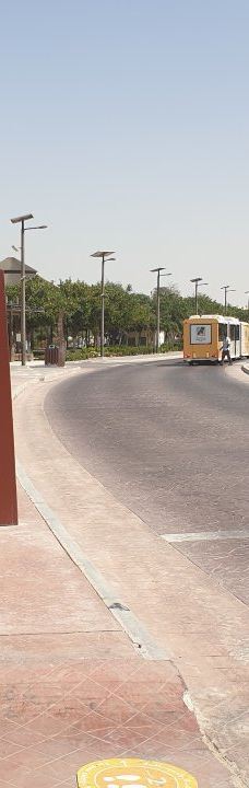 迪拜野生动物园-迪拜