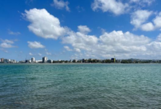 Maroochy River Conservation Park景点图片