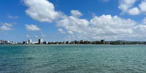 Maroochy River Conservation Park