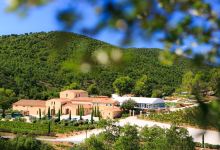 Chateau Pas du Cerf景点图片