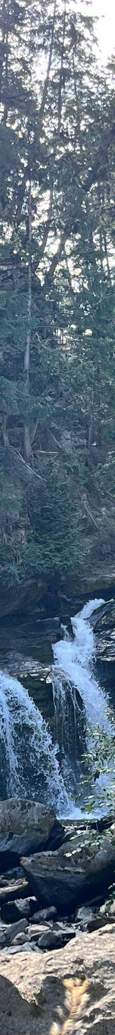 Chase Creek Falls-汤普森-尼古拉