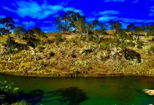 Bombala platypus reserve景点图片