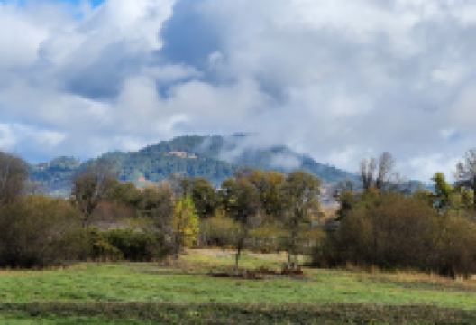 Frank Grasse Dog Park景点图片