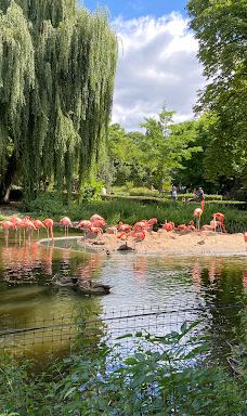 海德堡动物园-海德堡