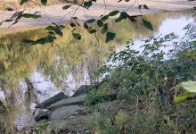 Milan Towpath MetroPark景点图片