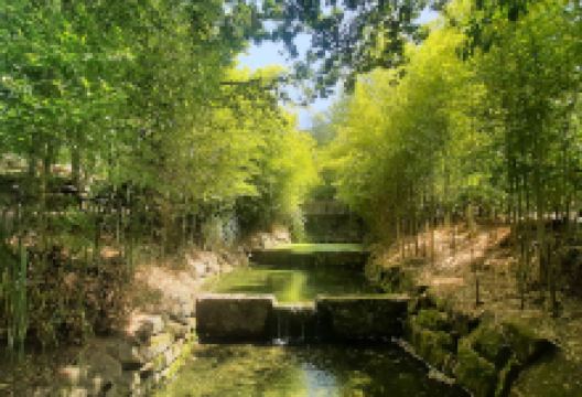 Parque de Merendas de Sobreira景点图片