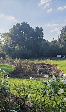 约翰内斯堡植物园-兰德堡