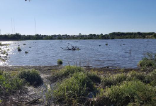 Naters Park景点图片