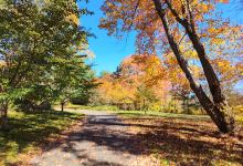 Twin Brooks Park景点图片